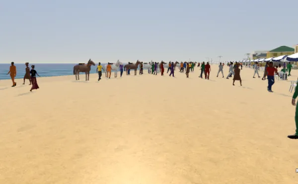 Horses and beachgoers along the shore at Elegushi, in the game